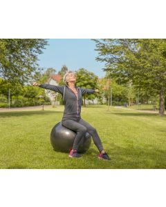 Gymnic Gymnastikball Plus