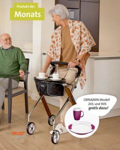 Wohnraum-Rollator Let's Dream