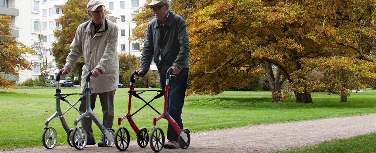 rollator lets fly herbstlich1240x504 1